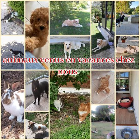 Gite Ma Vie La 3 Etoiles, Jacuzzi, Animaux Acceptes Saint-Julien-de-Cassagnas Exteriér fotografie