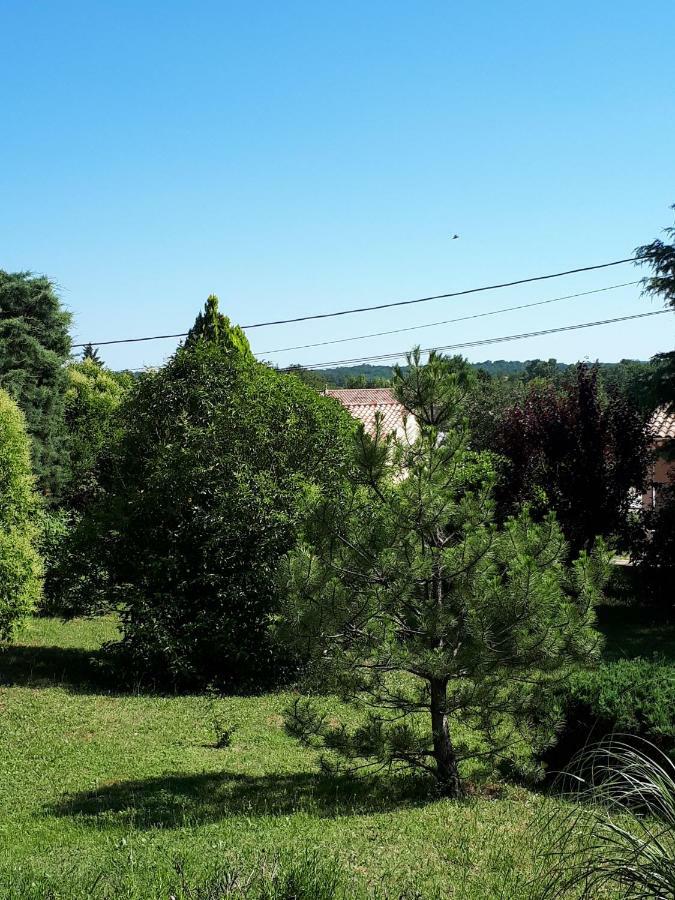 Gite Ma Vie La 3 Etoiles, Jacuzzi, Animaux Acceptes Saint-Julien-de-Cassagnas Exteriér fotografie